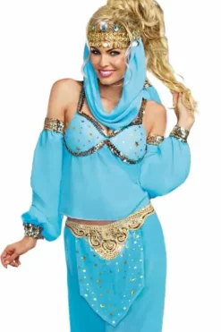 Dreamgirl 4 Pce Genie Costume