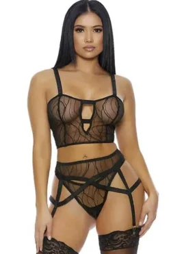 Forplay Textured Sheer Mesh Bra, Panty and Garter Belt